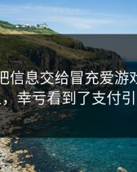 我差点把信息交给冒充爱游戏官方网站的人，幸亏看到了支付引导流程