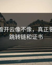 别只盯着开云像不像，真正要看的是跳转链和证书