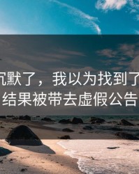 我当场沉默了，我以为找到了爱游戏，结果被带去虚假公告