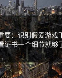 冷门但重要：识别假爱游戏下载其实看证书一个细节就够了