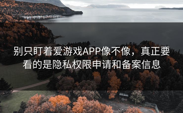 别只盯着爱游戏APP像不像，真正要看的是隐私权限申请和备案信息