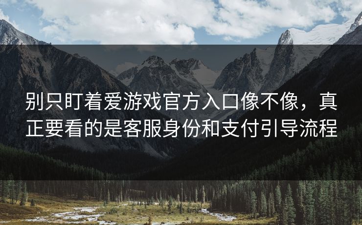 别只盯着爱游戏官方入口像不像，真正要看的是客服身份和支付引导流程