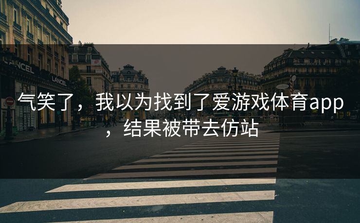 气笑了，我以为找到了爱游戏体育app，结果被带去仿站