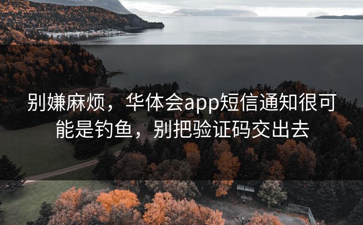 别嫌麻烦，华体会app短信通知很可能是钓鱼，别把验证码交出去